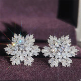 Snowflakes 925 Sterling Silver Earrings